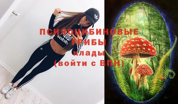 меф Гатчина